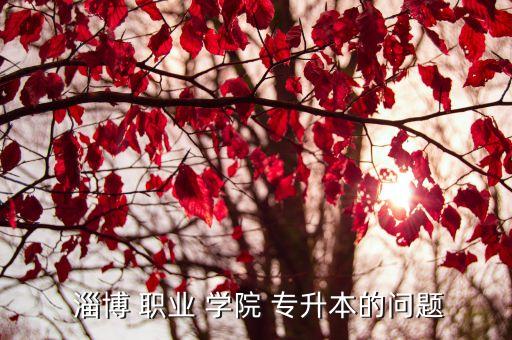 淄博職業(yè)學(xué)院支持專升本嗎,全國唯一專升本考試明年登場(chǎng)