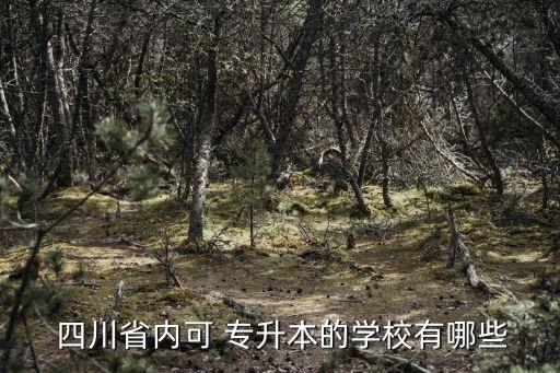 四川傳媒專升本,成都理工學(xué)院等四所高等學(xué)府提供專升本招生