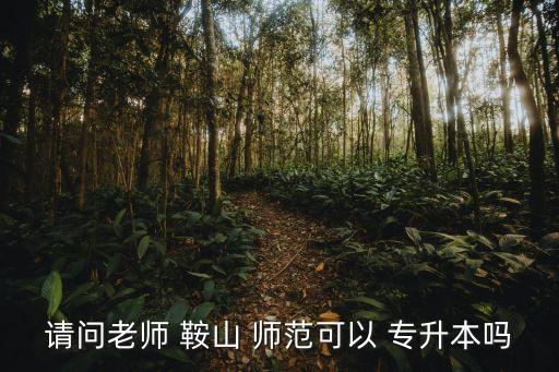 請(qǐng)問老師 鞍山 師范可以 專升本嗎