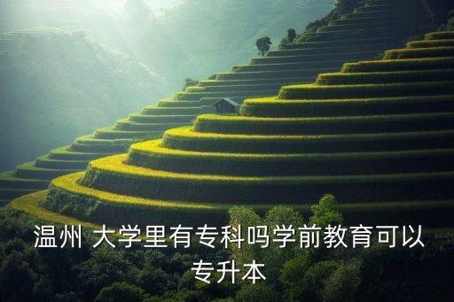 溫州 大學里有?？茊釋W前教育可以 專升本