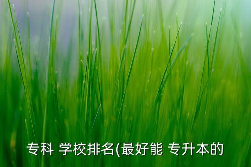 ?？?學(xué)校排名(最好能 專升本的