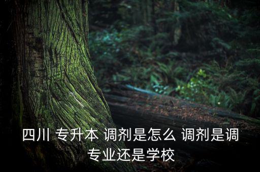 四川 專升本 調(diào)劑是怎么 調(diào)劑是調(diào) 專業(yè)還是學(xué)校