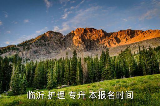 臨沂 護(hù)理 專(zhuān)升 本報(bào)名時(shí)間