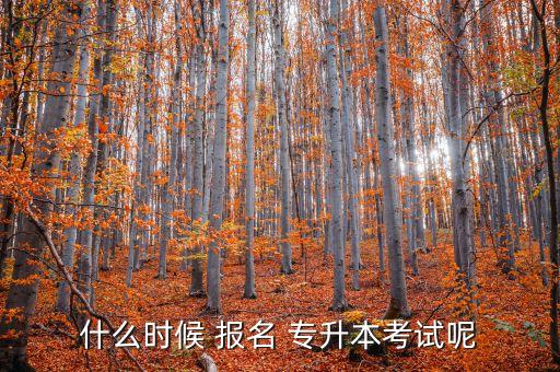 什么時(shí)候 報(bào)名 專升本考試呢