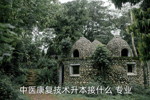 中醫(yī)全科專升本哪個專業(yè),中醫(yī)學(xué)院專升本-3/有兩個專業(yè)方向
