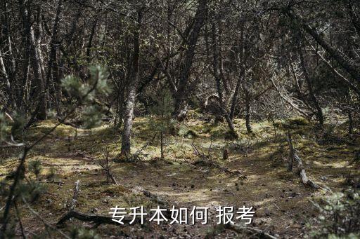  專升本如何 報(bào)考