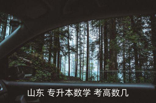 山東 專升本數(shù)學 考高數(shù)幾