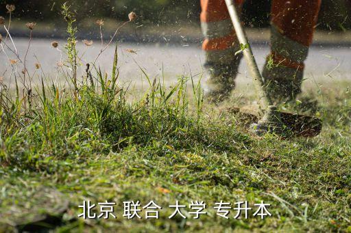 北京 聯(lián)合 大學(xué) 專升本