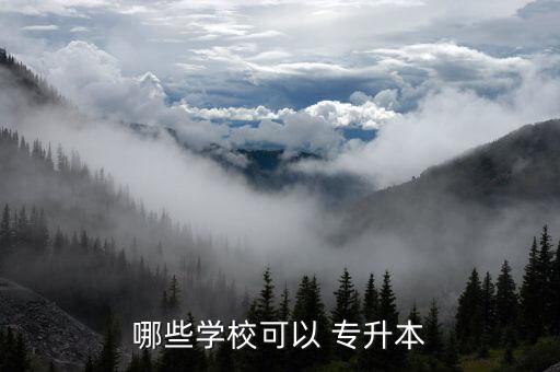 哪些學(xué)?？梢?專(zhuān)升本