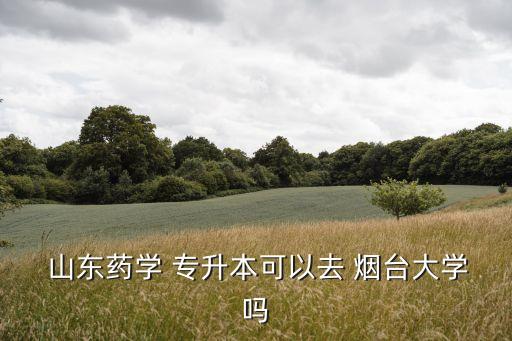  山東藥學 專升本可以去 煙臺大學嗎