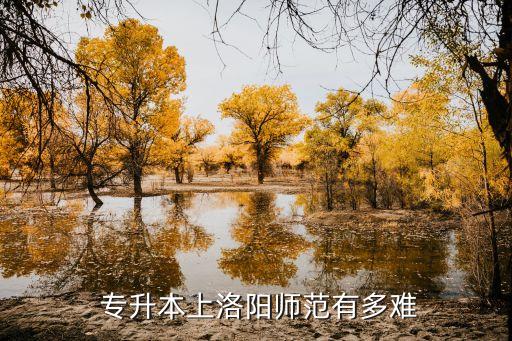 專(zhuān)升本取得佳績(jī),統(tǒng)招專(zhuān)升本學(xué)生須做好準(zhǔn)備才能取得學(xué)士學(xué)位