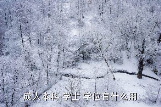 專(zhuān)升本的學(xué)士學(xué)位有用,成人教育與其他學(xué)科專(zhuān)業(yè)學(xué)位之別