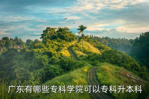 廣東專升本的?？茖W(xué)校,廣東十所民辦高校推出專升本"招生計劃