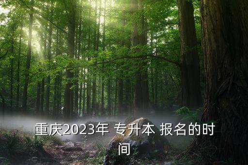 重慶專升本考報(bào)名,重慶高級(jí)專升ben報(bào)名人數(shù)超過(guò)19人