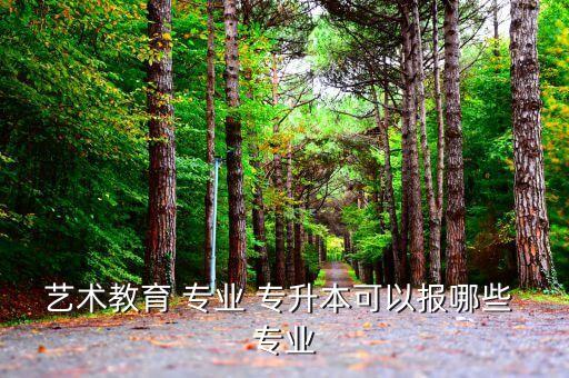 藝術(shù)教育 專業(yè) 專升本可以報哪些 專業(yè)