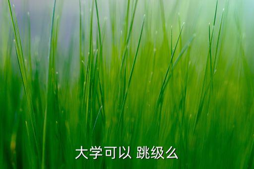 大學(xué)可以 跳級(jí)么