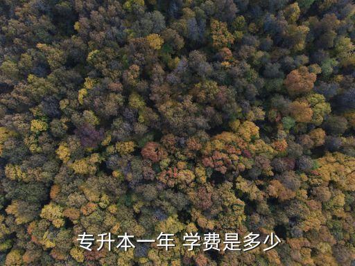  專升本一年 學(xué)費(fèi)是多少