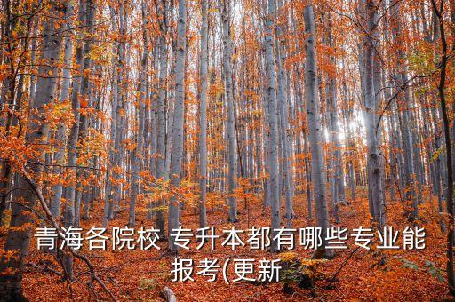 青海函授專升本,青海專升本報名入口網(wǎng)站
