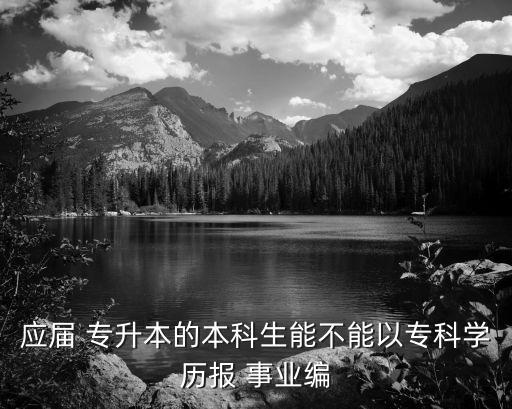 應(yīng)屆 專升本的本科生能不能以?？茖W(xué)歷報(bào) 事業(yè)編