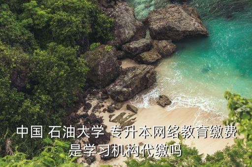 中國 石油大學(xué) 專升本網(wǎng)絡(luò)教育繳費是學(xué)習(xí)機(jī)構(gòu)代繳嗎