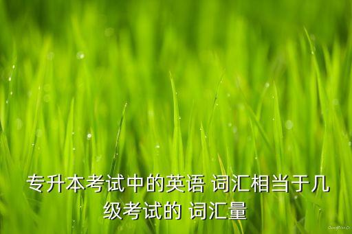  專升本考試中的英語 詞匯相當于幾級考試的 詞匯量