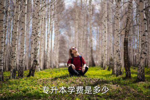  專升本學(xué)費(fèi)是多少