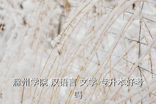 滁州學院 漢語言 文學 專升本好考嗎