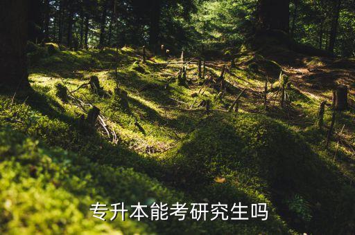 法語(yǔ)專升本本升研,普通專升應(yīng)屆畢業(yè)生可參加考研工作