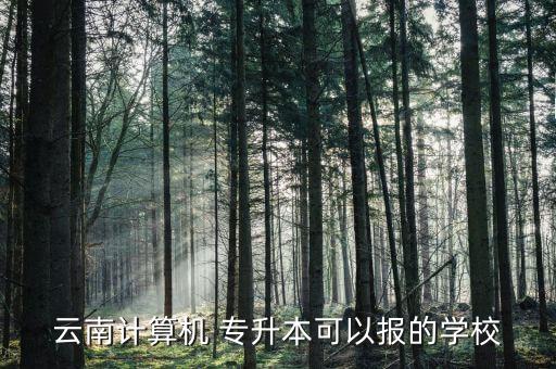 云南計算機 專升本可以報的學校