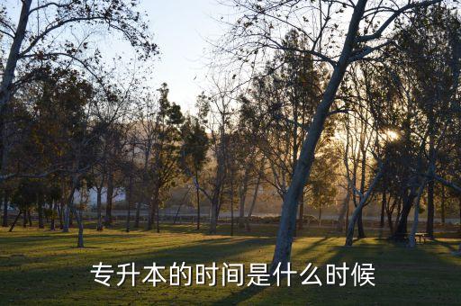 洛陽師范專升本時間,統(tǒng)招專升本考試時間每年都是這個時間