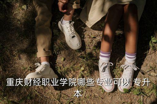 服裝設(shè)計專升本院校,重慶財經(jīng)職業(yè)學(xué)院所有專業(yè)均可專升本