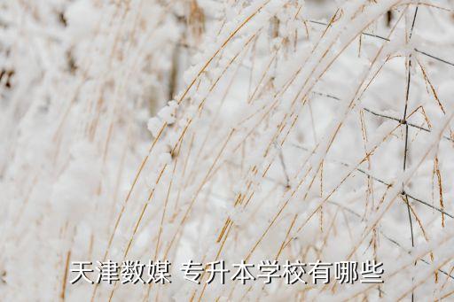 南開大學(xué)有專升本么,山東專升本法學(xué)考生可報(bào)考哪些大學(xué)?