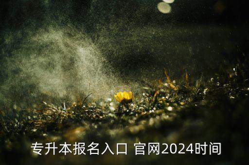  專升本報名入口 官網(wǎng)2024時間