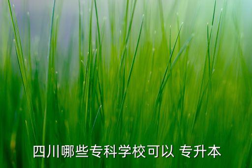  四川哪些?？茖W(xué)?？梢?專升本