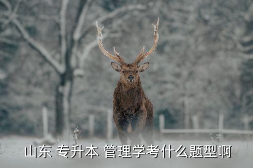  山東 專升本 管理學考什么題型啊