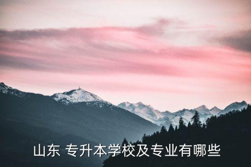  山東 專升本學(xué)校及專業(yè)有哪些