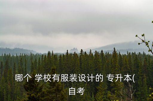哪個(gè) 學(xué)校有服裝設(shè)計(jì)的 專升本( 自考