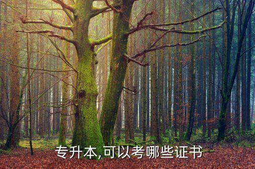 專升本可以報考cpa嗎,報考條件:1、全國范圍都可以報考