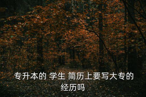 專升本學生的求職簡歷,如果你是本科生建議你寫個大學學歷