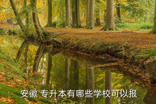  安徽 專升本有哪些學(xué)校可以報(bào)