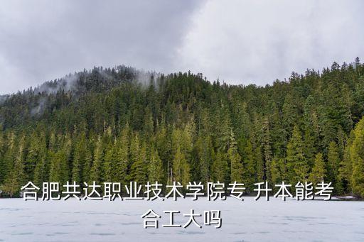 合肥共達職業(yè)技術學院專 升本能考 合工大嗎