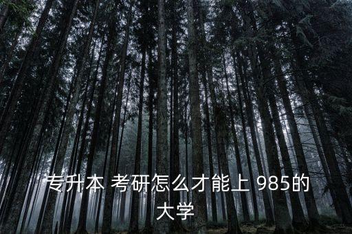  專升本 考研怎么才能上 985的大學