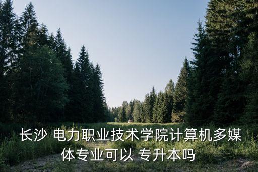  長沙 電力職業(yè)技術(shù)學院計算機多媒體專業(yè)可以 專升本嗎