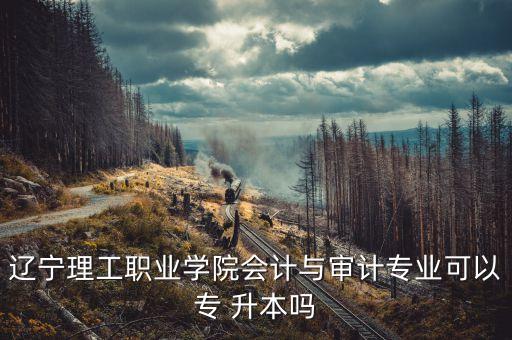 遼寧理工職業(yè)學(xué)院會(huì)計(jì)與審計(jì)專(zhuān)業(yè)可以專(zhuān) 升本嗎
