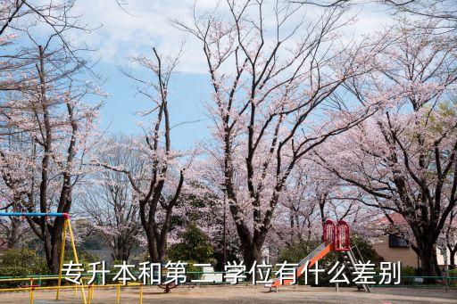 專(zhuān)升本學(xué)士學(xué)位區(qū)別,選擇自己擅長(zhǎng)的領(lǐng)域或?qū)I(yè)方向