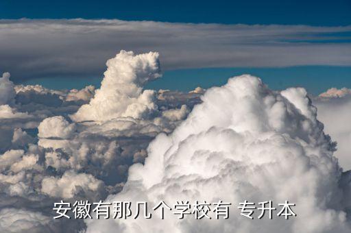 安徽有那幾個學(xué)校有 專升本