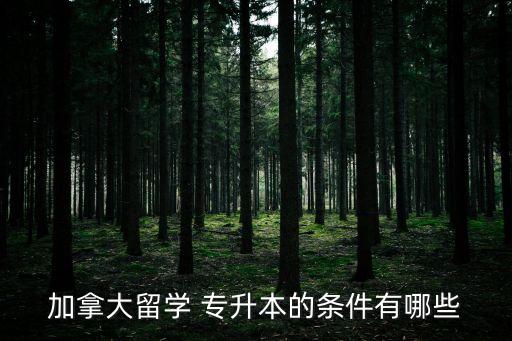 專升本費(fèi)用低廉的國(guó)家,申請(qǐng)國(guó)外藝術(shù)類院校需要什么資料?