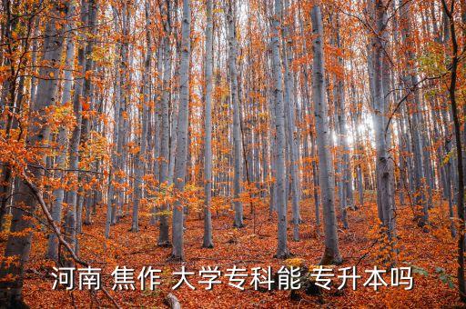 河南 焦作 大學(xué)專科能 專升本嗎