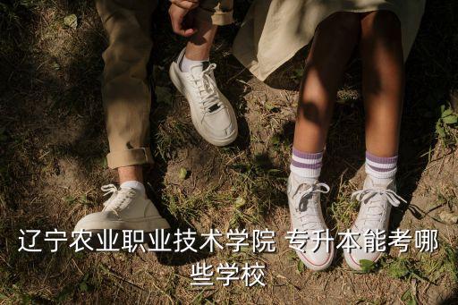 鞍山師范學(xué)院專升本考試,遼寧專升本考試范圍擴(kuò)大報(bào)名院校增多