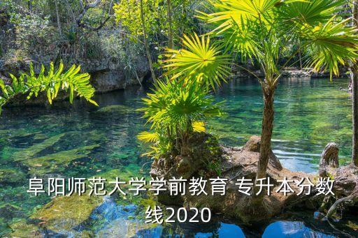 阜陽專升本院校,更多關(guān)于安徽的信息專升本報名網(wǎng)站